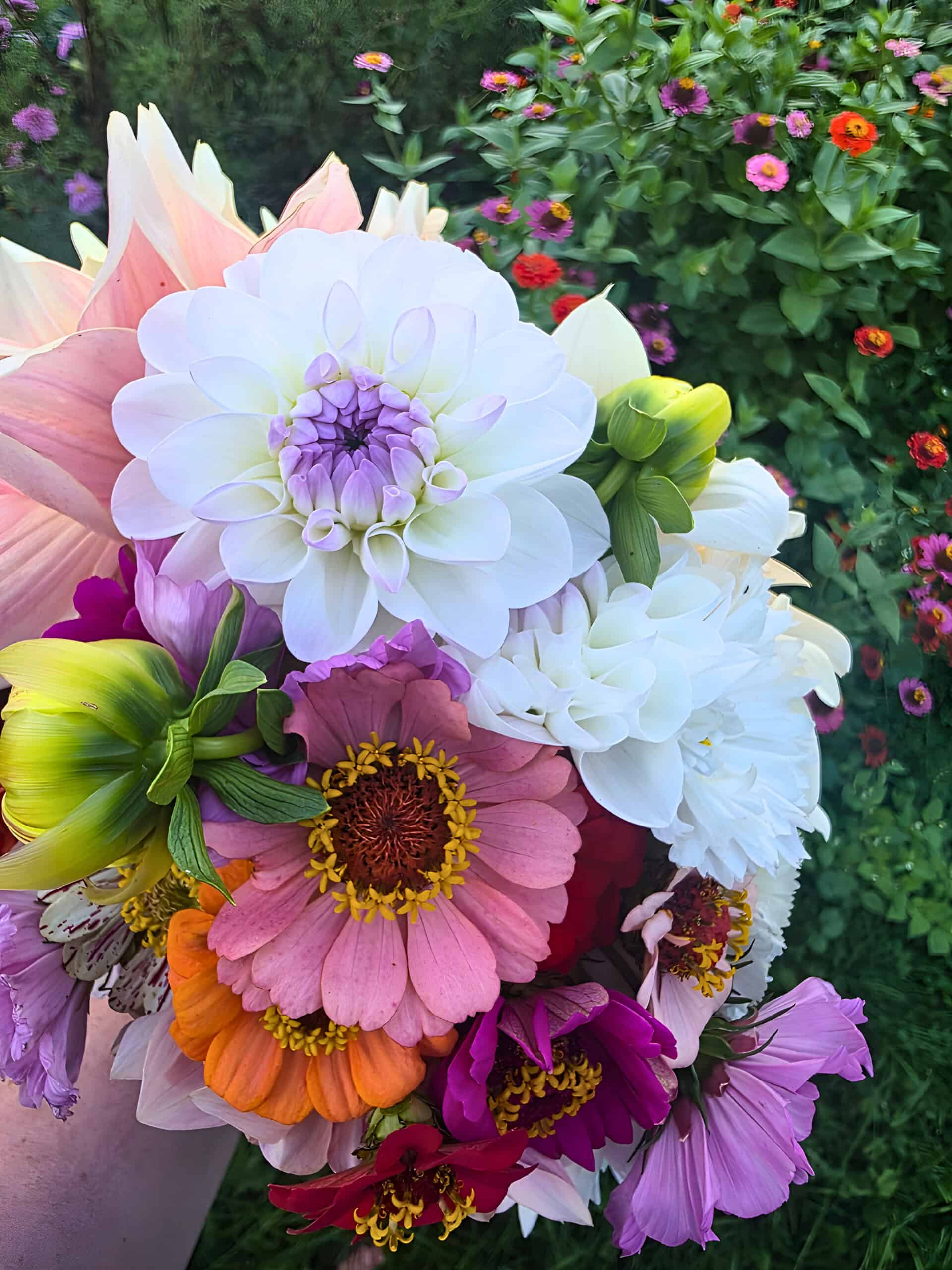 Gift Certificate Flower Bouquet