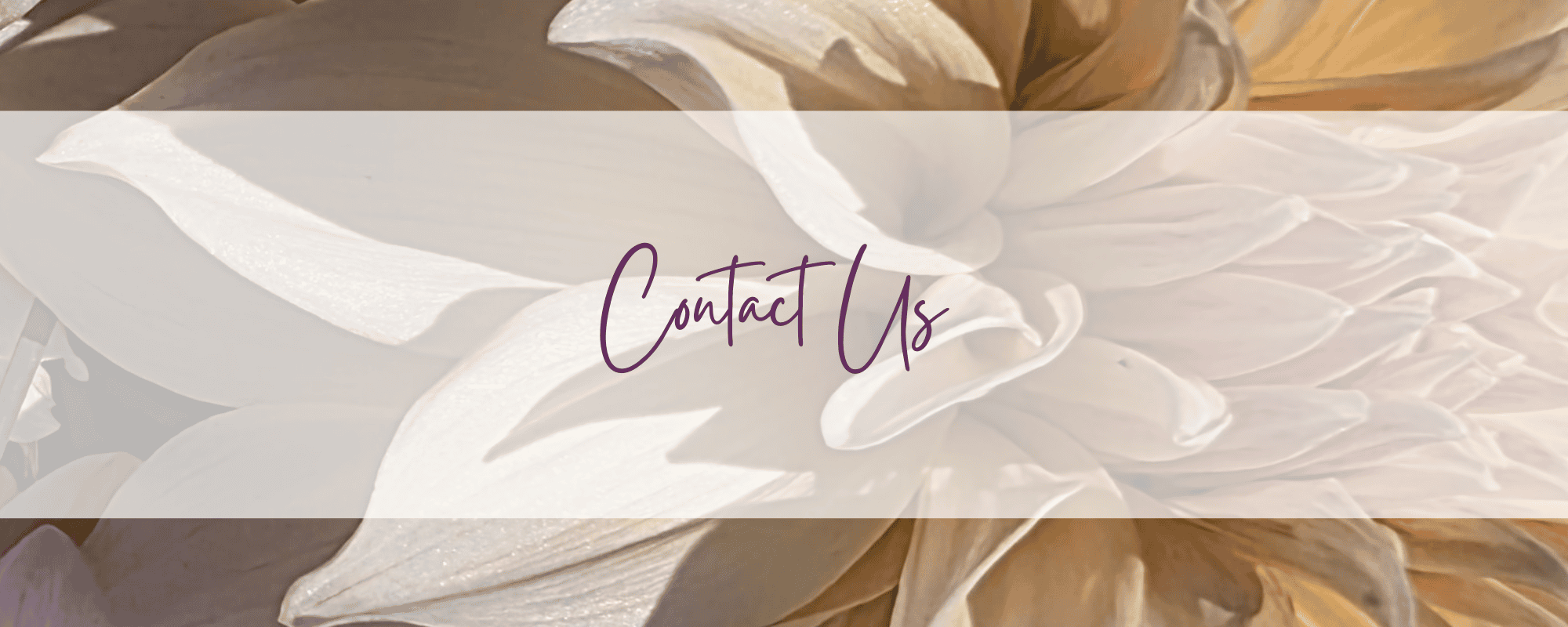Contact Us Dahlia